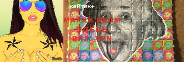 стаф Верхний Тагил