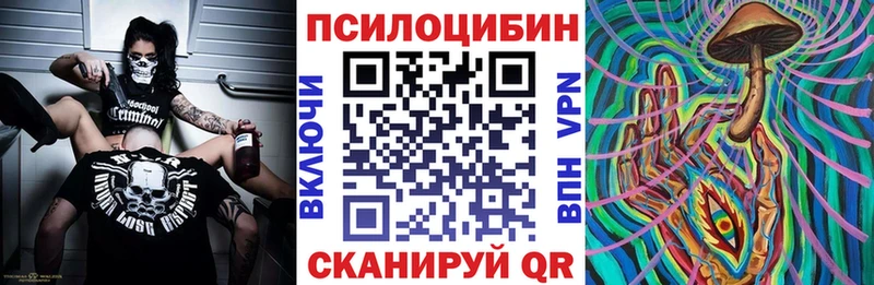 Купить  Нестеров  Галлюциногенные грибы Psilocybine cubensis 